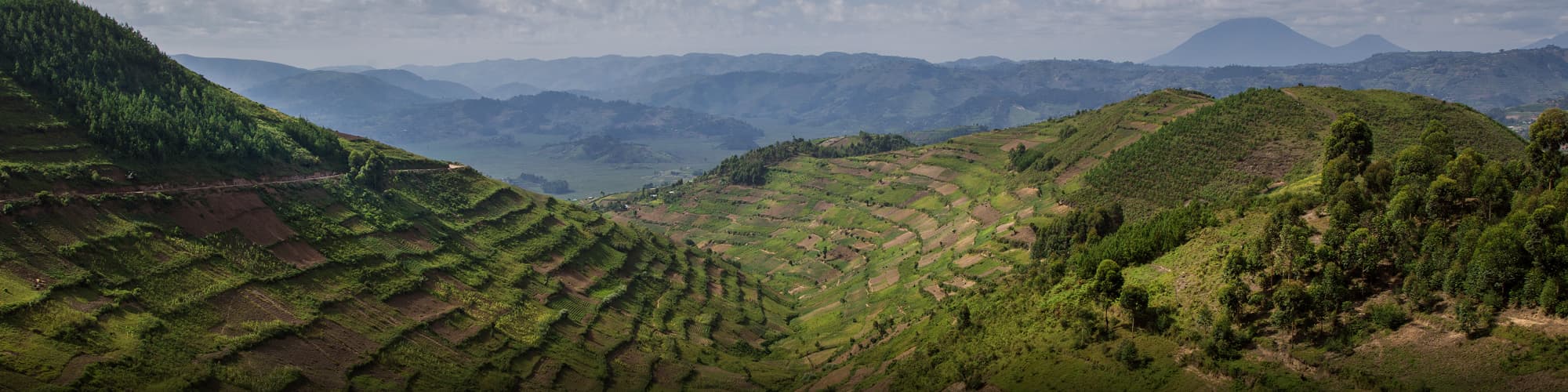 Voyage en groupe Rwanda © guenterguni
