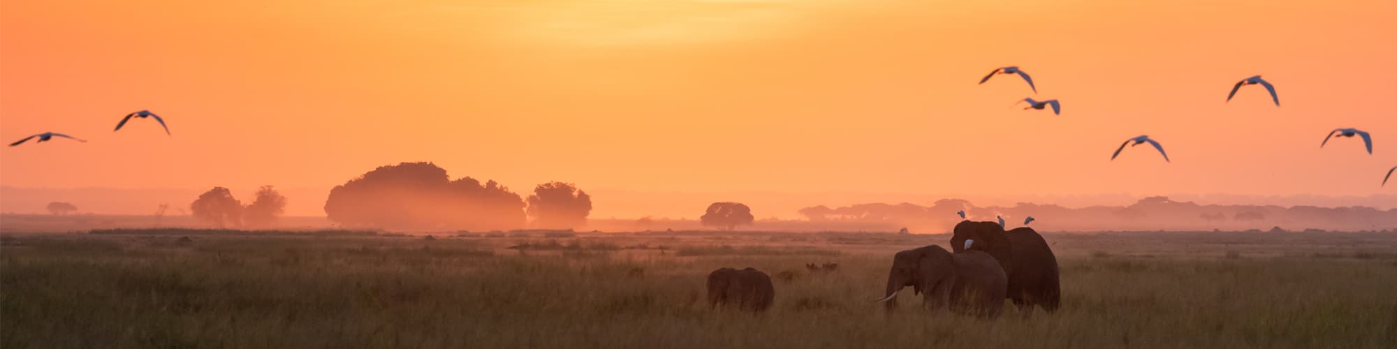 Safari : toutes nos randonnées en brousse et safaris animaliers © Rixipix