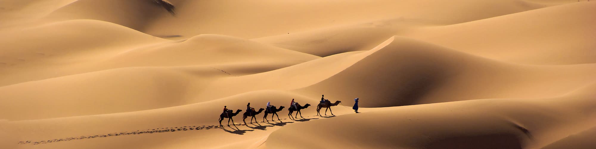 Randonnée avec chameau : tous nos circuits et voyages à dos de chameau 