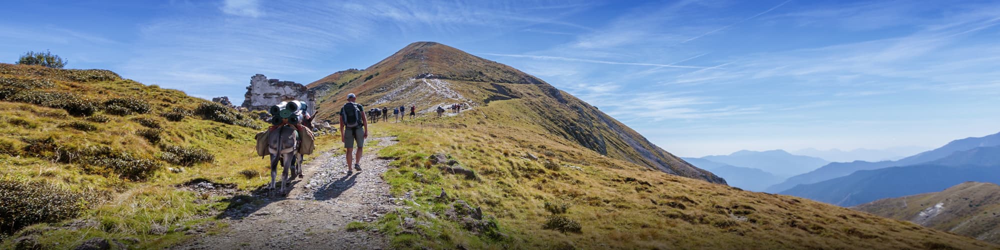 Randonnée avec mulet : tous nos circuits et treks avec mulet © SPIX PRODUCTION / Adobe Stock