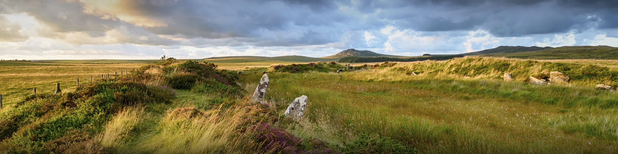 Voyage en groupe Iles Anglo-normandes © Helen Hotson/iStock