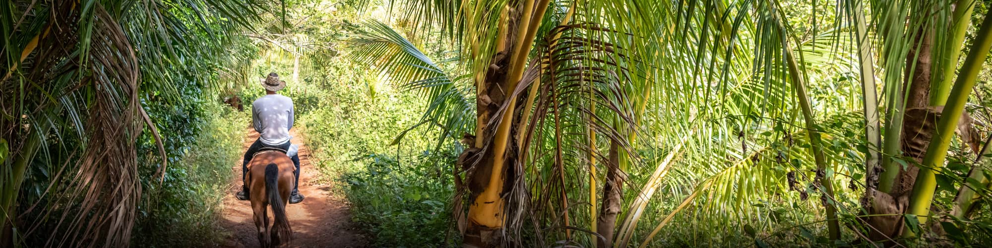 Voyage Forêts, collines, rivières et lacs Cuba © MaxB77 / Istock