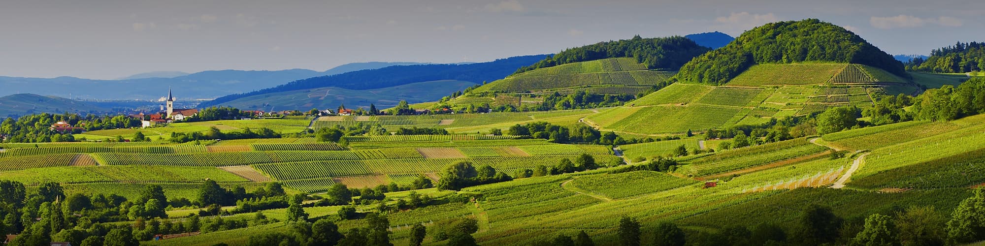 Voyage liberté Allemagne © Erich Spiegelhalter/STG/Schwarzwald Tourismus OT