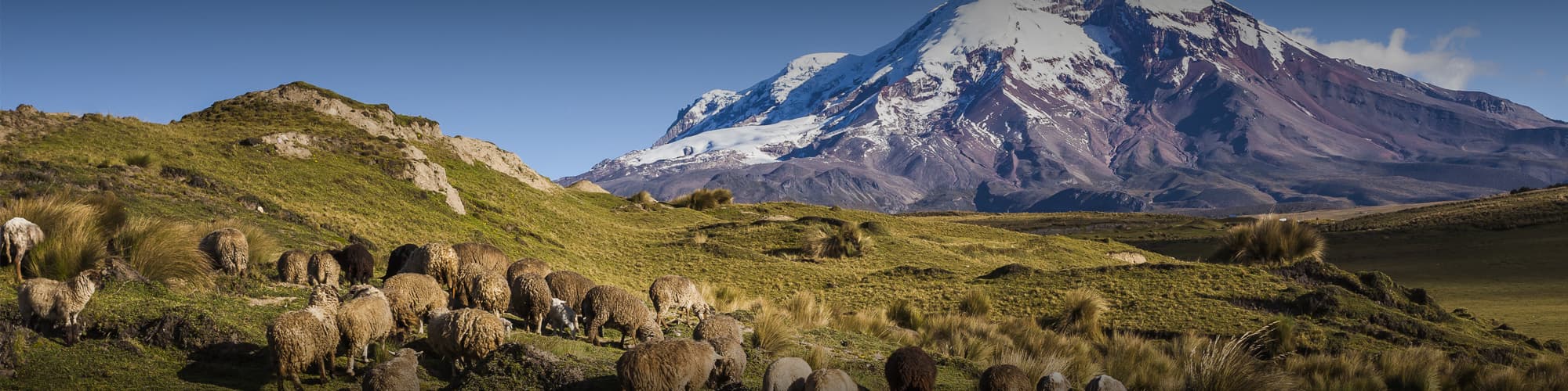 Voyage Volcans Equateur © PatricioHidalgoP / Istock