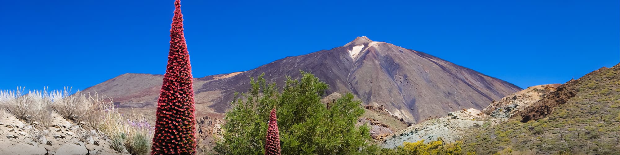 Vélo Canaries © OT Tenerife