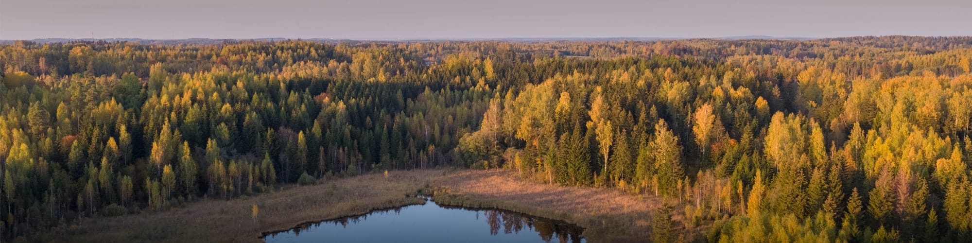 Randonnée en Estonie : circuit, trek et voyage  © Janno Vaan