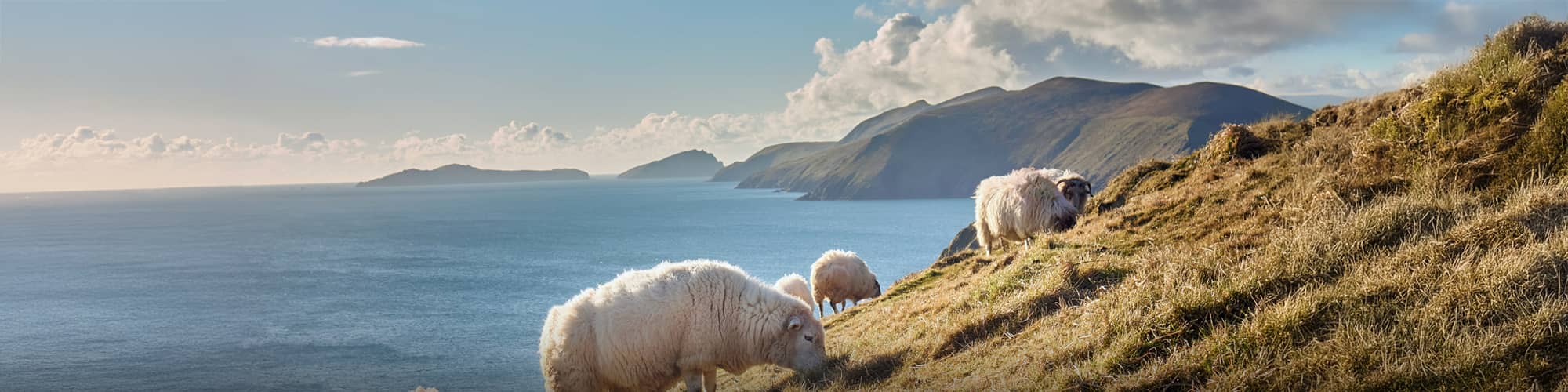 Vélo Irlande © no_limit_pictures