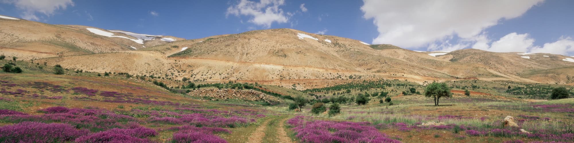 Trek au Liban : circuit, randonnée et voyage © Daniel Thierry/Photononstop