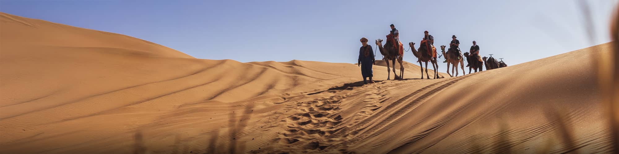 Randonnée avec mulet Côte Atlantique Marocaine © Pavliha