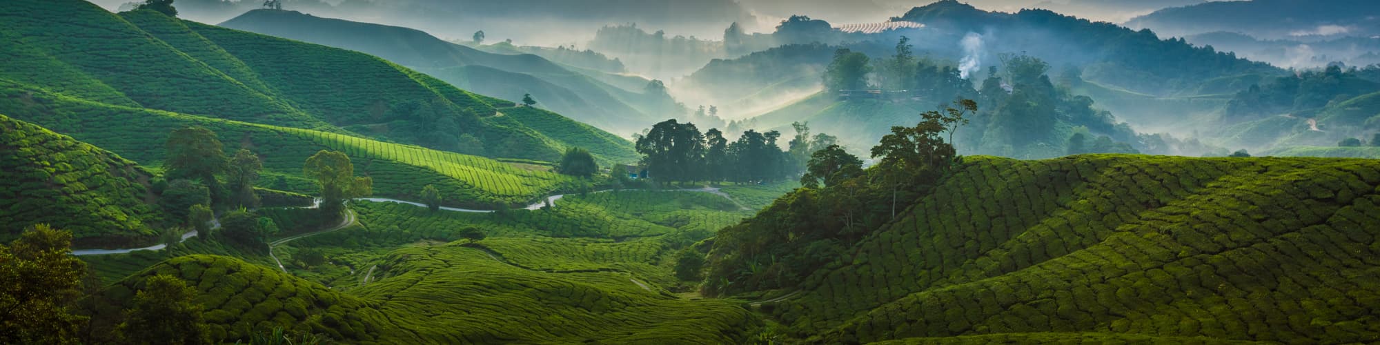 Trek en Malaisie : circuit, randonnée et voyage © Black Cat Imaging / Adobe Stock