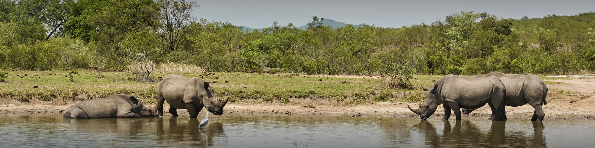 Safari au Swaziland : circuit, trek et voyage © Jens Otte