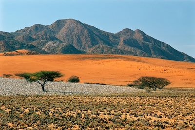 Parc national d'Iona - Angola