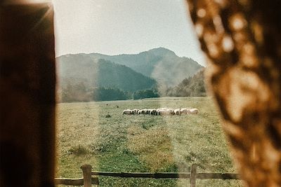 Votre hébergement en Albanie