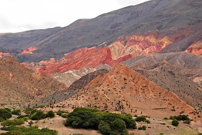 Canyon de rochers rouges - Quebrada de las Conchas - Cafayate - Argentine