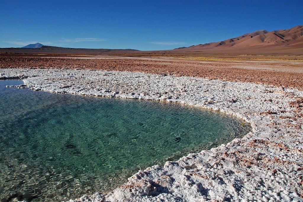 Voyage Vallées, Altiplano et Puna du nord-ouest argentin 3