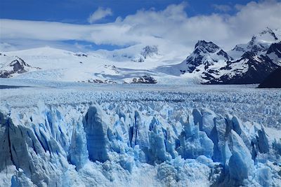 © Rochester Calafate - El Calafate - Patagonie - Argentine El Calafate - Patagonie - Argentine