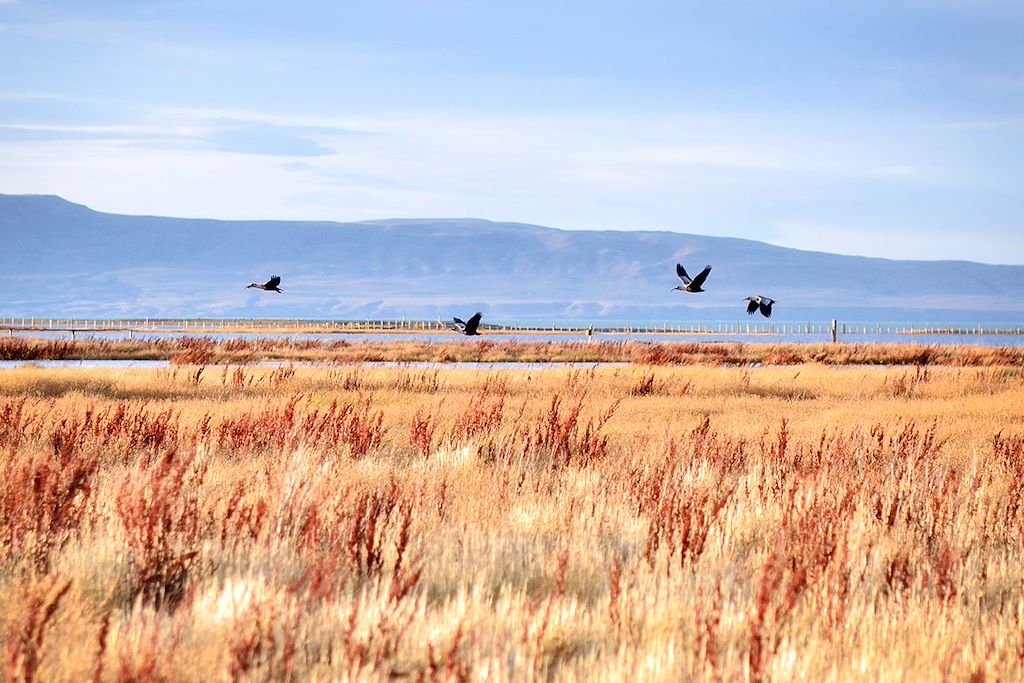 Voyage Un souffle de liberté en Patagonie 2