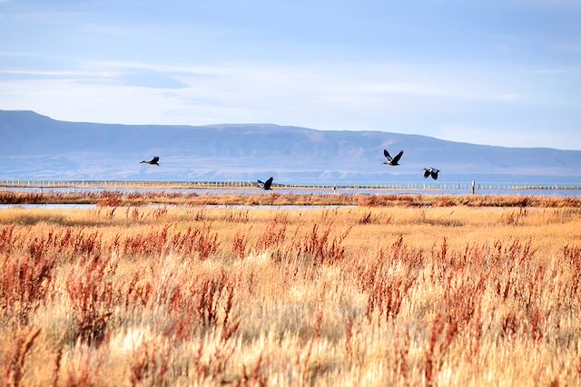Autotour : Un souffle de liberté en Patagonie Voyage Un souffle de liberté en Patagonie