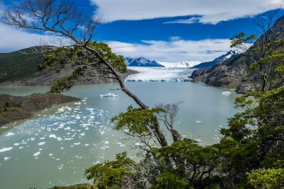 © Franck Charton - Mirador du glacier Grey - Parc national Torres del Paine - Patagonie - Chili Mirador du glacier Grey - Parc national Torres del Paine - Patagonie - Chili