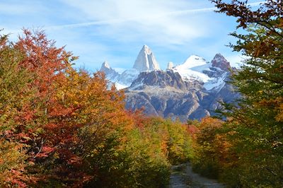 © Eco Domes - El Chalten - Argentine El Chalten - Argentine
