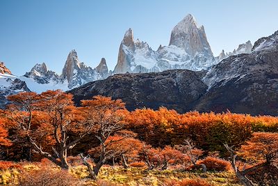 © Anton Petrus / Adobe Stock - Fitz Roy - Patagonie - Argentine Fitz Roy - Patagonie - Argentine