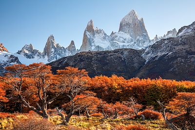 Fitz Roy - Patagonie - Argentine