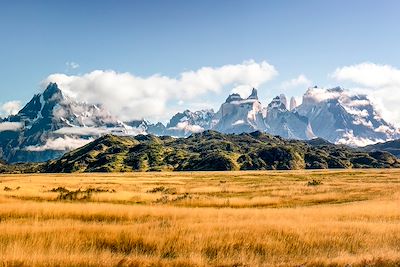 Parc national Torres del Paine - Patagonie - Chili