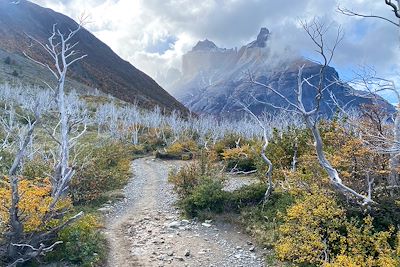 © Juliette de Swarte - Trek W - Parc Torres del Paine - Patagonie - Chili Trek W - Parc Torres del Paine - Patagonie - Chili