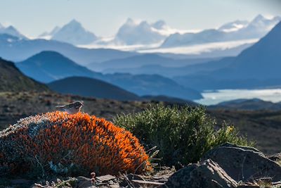 © Eliseo Miciu/Explora Patagonia-Hotel Salto Chico - Parc Torres del Paine - Chili Parc Torres del Paine - Chili