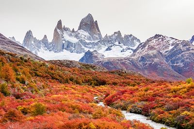© Karol Kozlowski / AWL / Plainpicture - Parc Torres del Paine en automne - Patagonie - Chili Parc Torres del Paine en automne - Patagonie - Chili