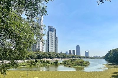 Réserve écologique - Buenos Aires - Argentine