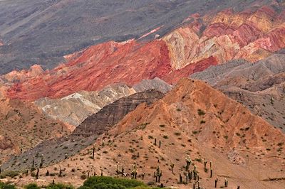 Canyon de rochers rouges - Quebrada de las Conchas - Cafayate - Argentine