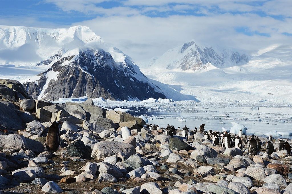 Voyage Péninsule Antarctique à bord du Persévérance 3