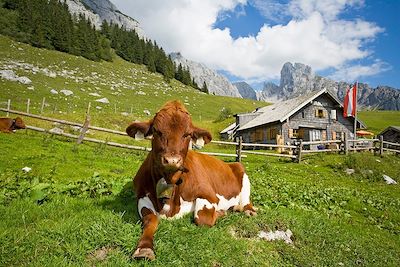 © Claudia Wallner - Gîte de Stuhlalm - Autriche Gîte de Stuhlalm - Autriche