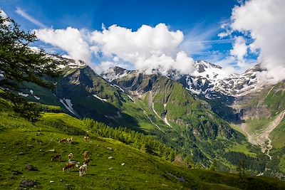 Grossglockner High Alpine Road - Hohe Tauern - Autriche