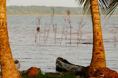 © Cora Unk / Alamy / Hemis - Lac Aheme - Possotome - Bénin Lac Aheme - Possotome - Bénin