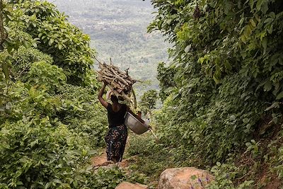Femme portant du bois sur la tête - Bénin