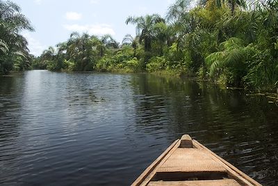 Rivière noire d'Adjarra - Bénin