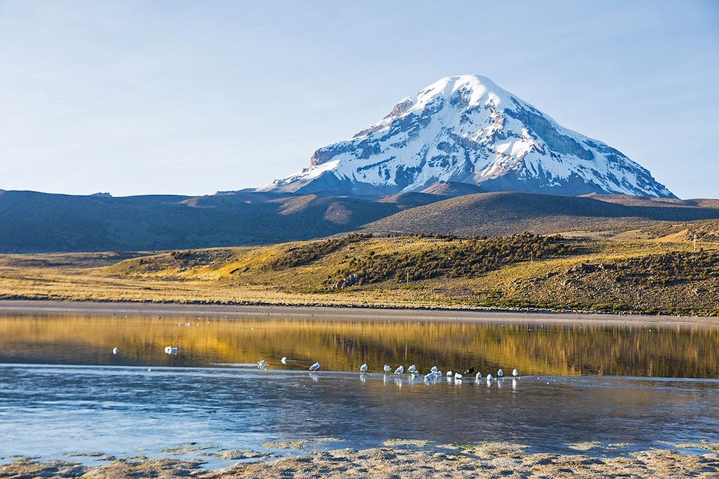 Volcan Nevado Sajama - Bolivie