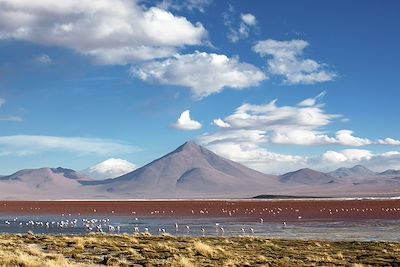 © Heiko MEYER/LAIF-REA - La Laguna Colorada - Altiplano - Bolivie La Laguna Colorada - Altiplano - Bolivie