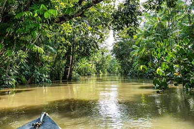 Voyage Iguaçu
