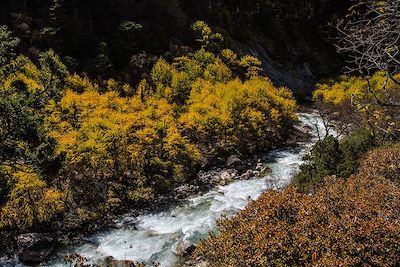 Paysage d'automne - Bhoutan