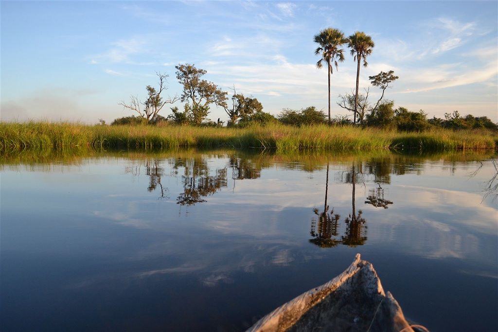 Voyage Botswana, rendez-vous en Terre africaine 3