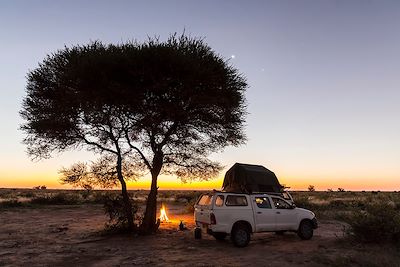 Voyage Botswana, rendez-vous en Terre africaine 1