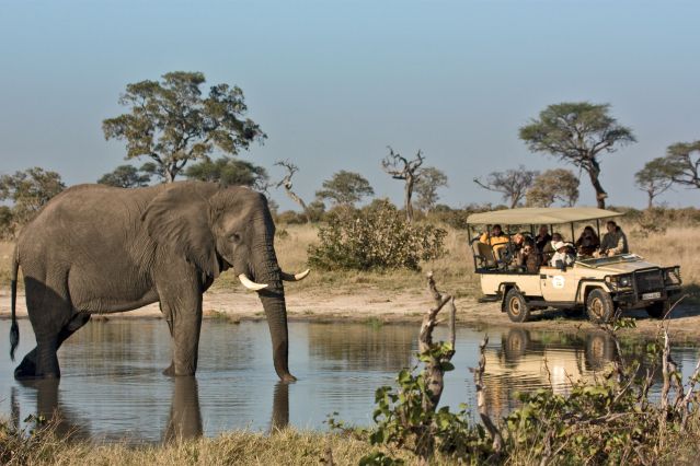 Voyage Au coeur des réserves animalières du Botswana 3