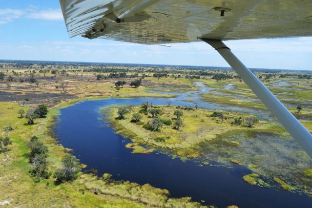 Voyage Safaris privés à Chobe, Savuti et Moremi  3