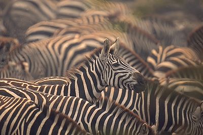 Botswana