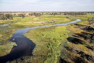 Delta de l'Okavango - Botswana