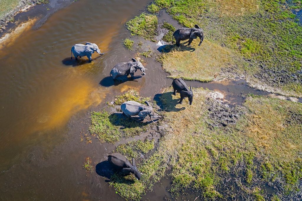 Voyage Le Botswana vue d'en haut 2