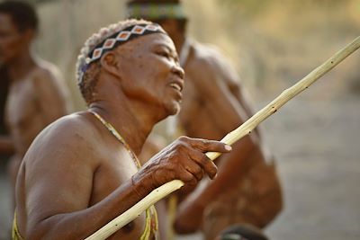 Voyage Du Kalahari à l'Okavango, une aventure magique  1